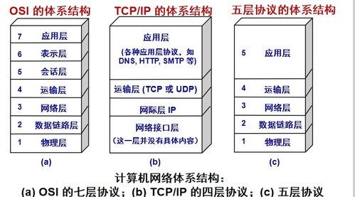 計(jì)算機(jī)網(wǎng)絡(luò)與計(jì)算機(jī)系統(tǒng)服務(wù) 構(gòu)建數(shù)字世界的基石