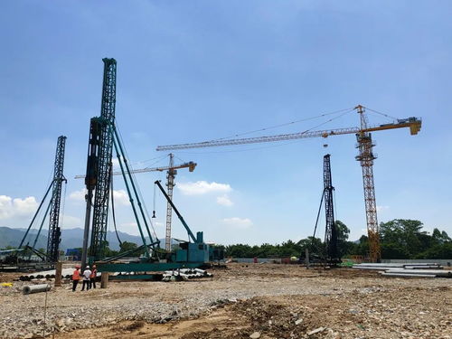 肇慶水產交易中心試運營，開啟新鮮水產采購新篇章